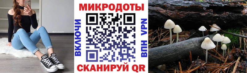 Купить закладки  Алупка  Псилоцибиновые грибы Psilocybine cubensis 
